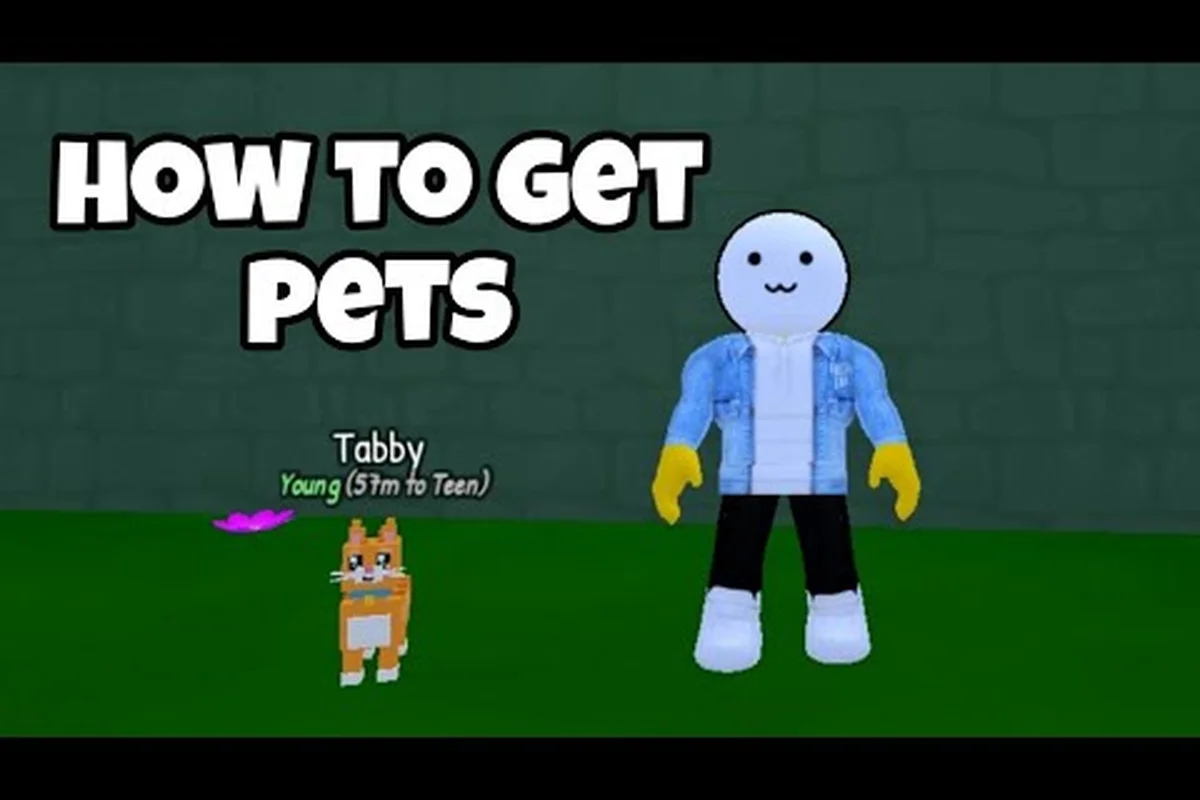 Own a Cafe Pet Boost Guide: Offline Earnings & Helpers